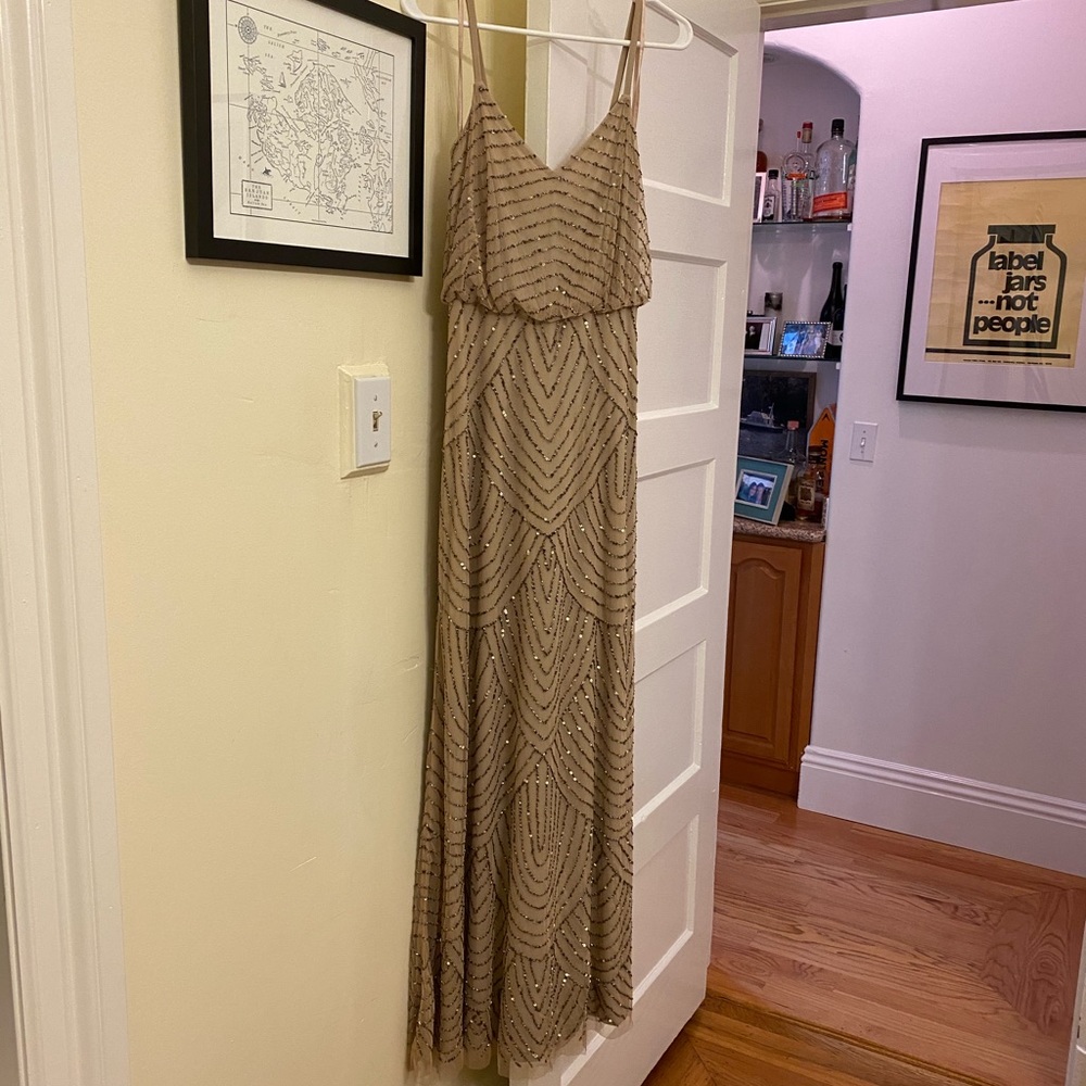 Adrianna Papell Long Beaded Blouson Gown, Size 6